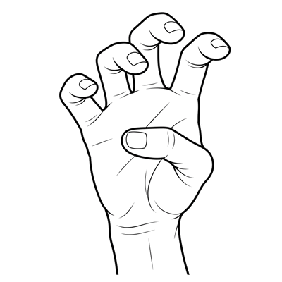 Plaštakos forma: 4+