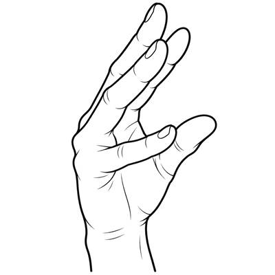 Plaštakos forma: 4u