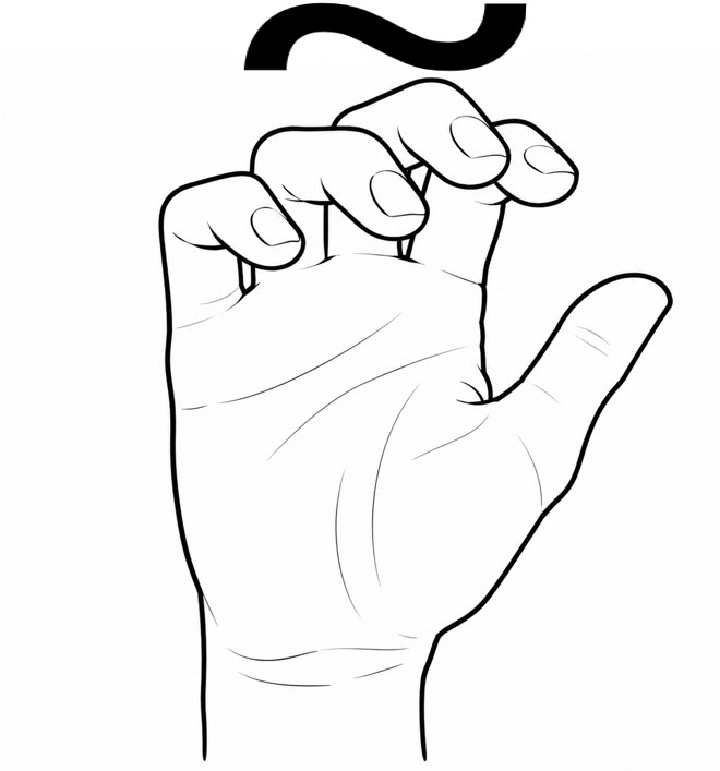 Plaštakos forma: 5+~
