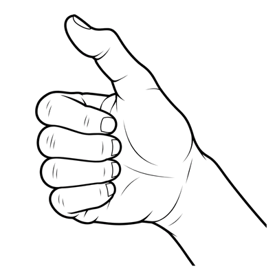 Plaštakos forma: An+