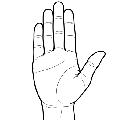 Plaštakos forma: B